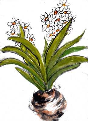 Bulb of Narcissus Brushpainting